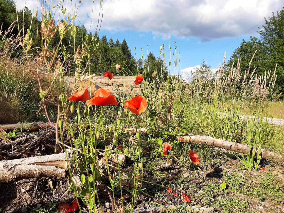 Harz Hotel Iris Sieber Eksteriør billede