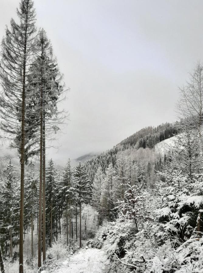 Harz Hotel Iris Sieber Eksteriør billede