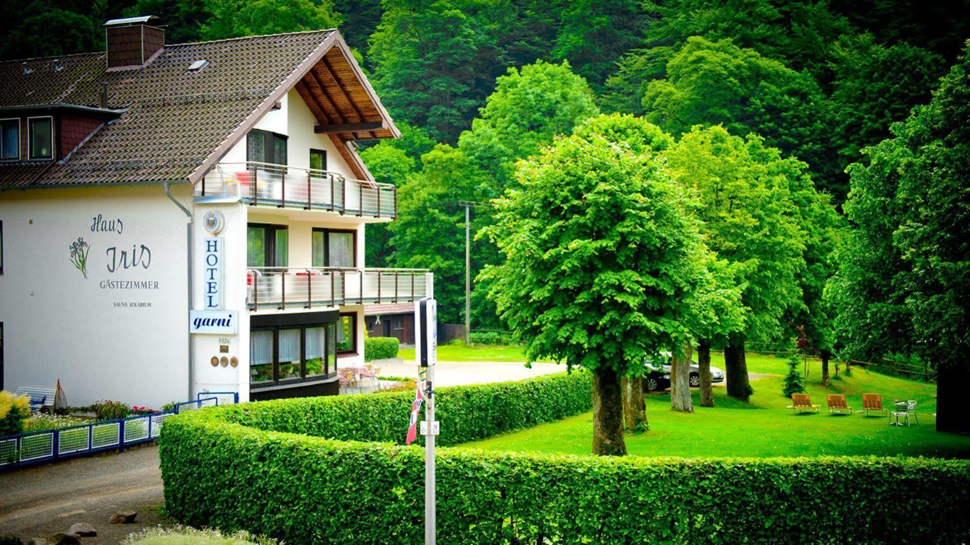 Harz Hotel Iris Sieber Eksteriør billede